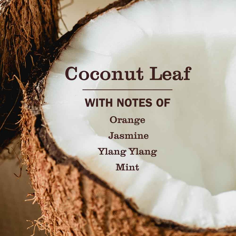 Mrs. MEYER'S CLEAN DAY Pet Stain & Odor Fighter, Coconut Leaf Scent, 16oz