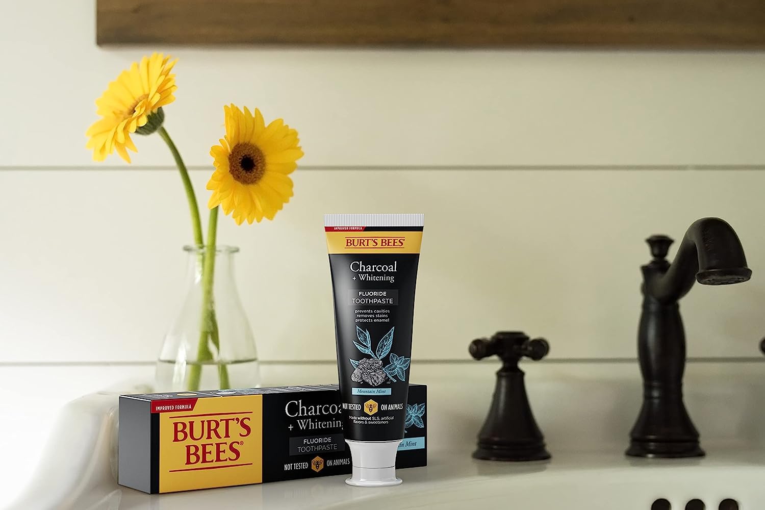 Burt's_Bees_Toothpaste,_Natural_Flavor,_Charcoal_with_Fluoride_Toothpaste,_Mountain_Mint,_3_x_4.7oz