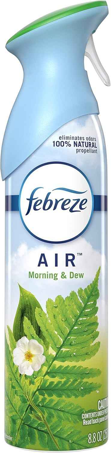 Febreze Air Mist Air Freshener Spray, Odor-Fighting Room Spray, Air Fresheners for Home and Bathroom and Kitchen, Aerosol Can, Mountain Scent