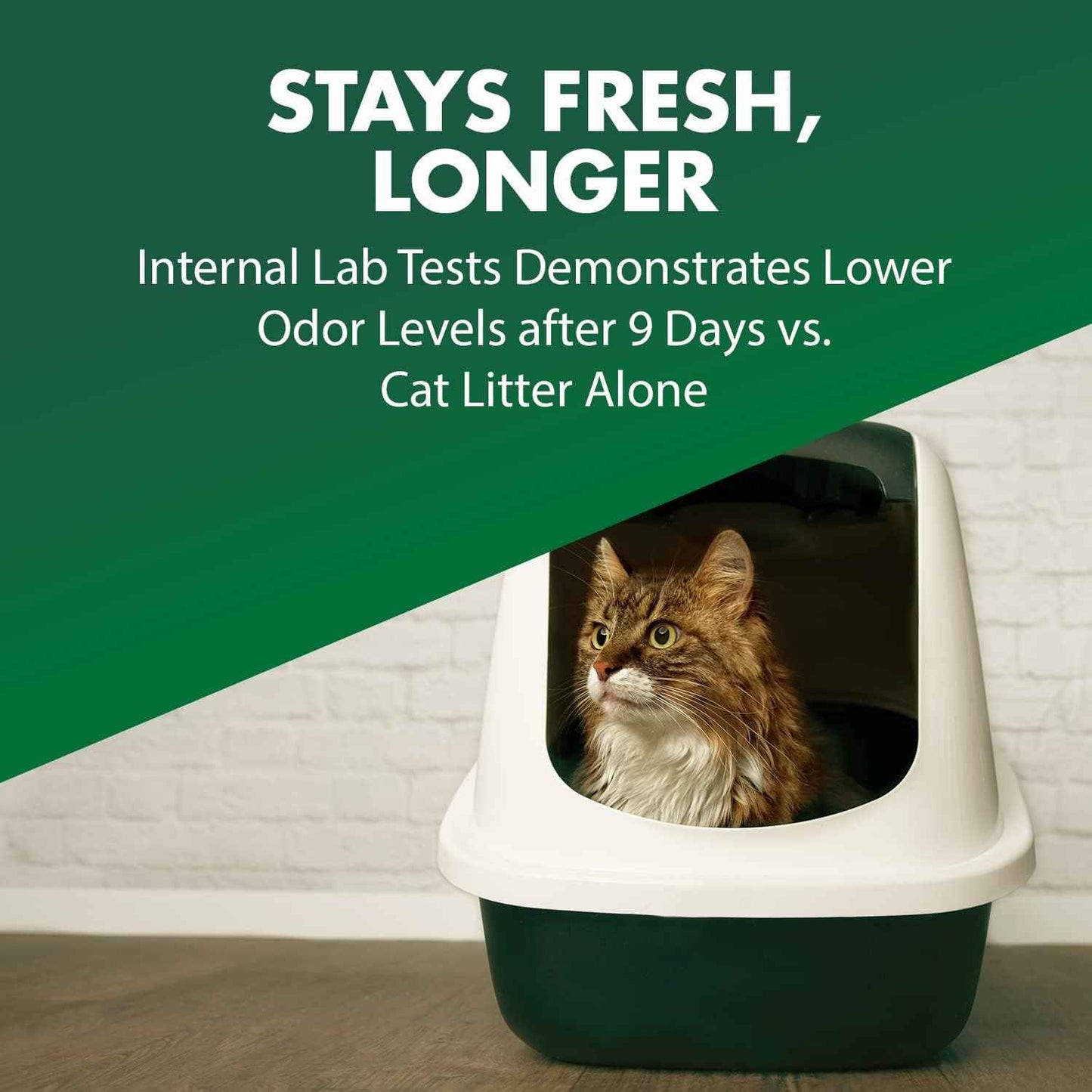 ARM & HAMMER Cat Litter Deodorizer