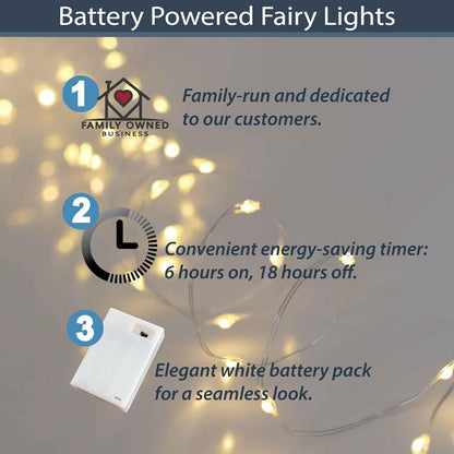 QBIS_Warm_White_Fairy_Lights_Battery_Operated_With_Timer_Mode,_40_Micro_LED_for_Mason_Jars,_6.5ft_Silver_Wire_Indoor_Use