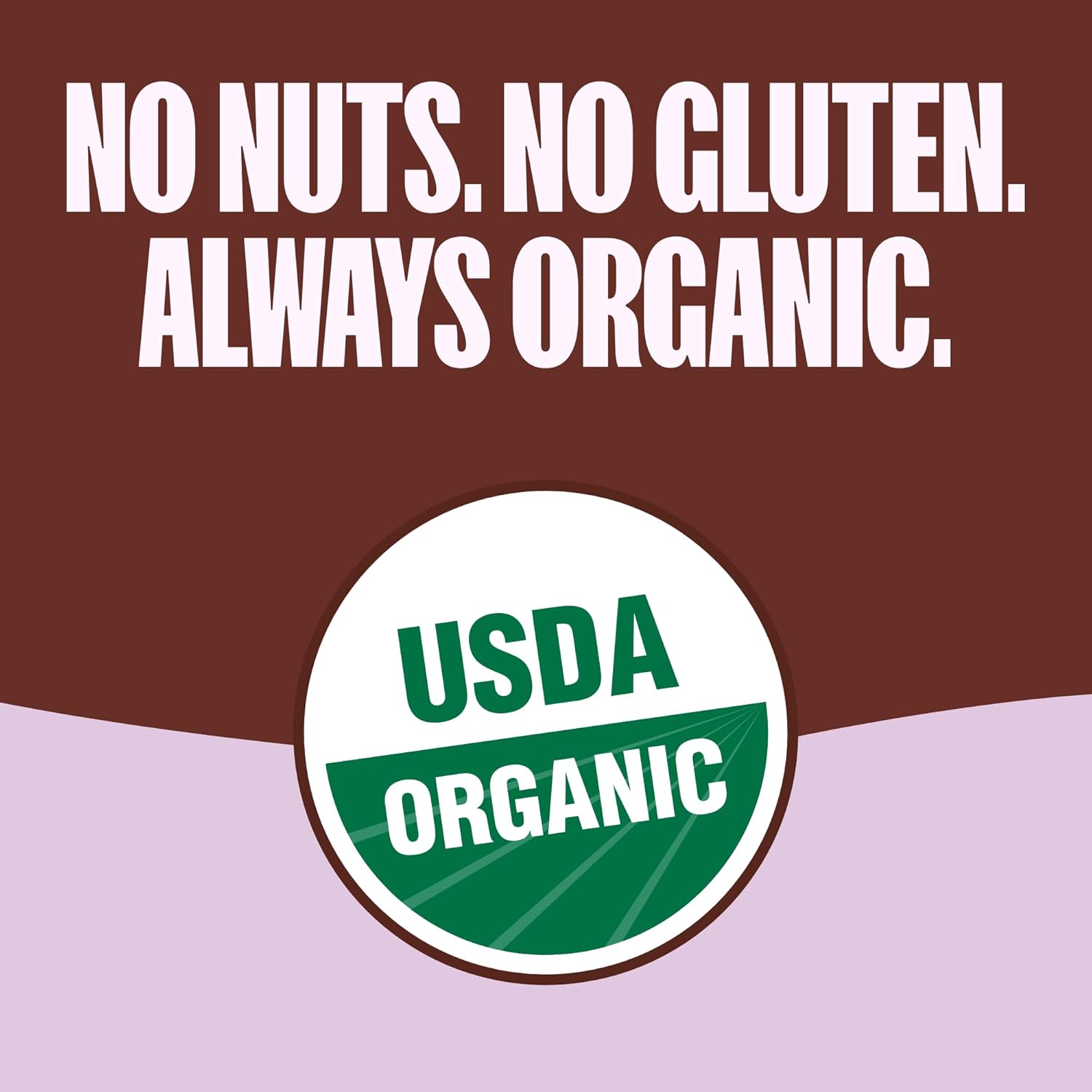 MadeGood_Organic_Chocolate_Chip_Granola_Bites,_5ct_x_0.85oz
