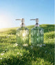 Green & Stainless Steel - 2 Pack