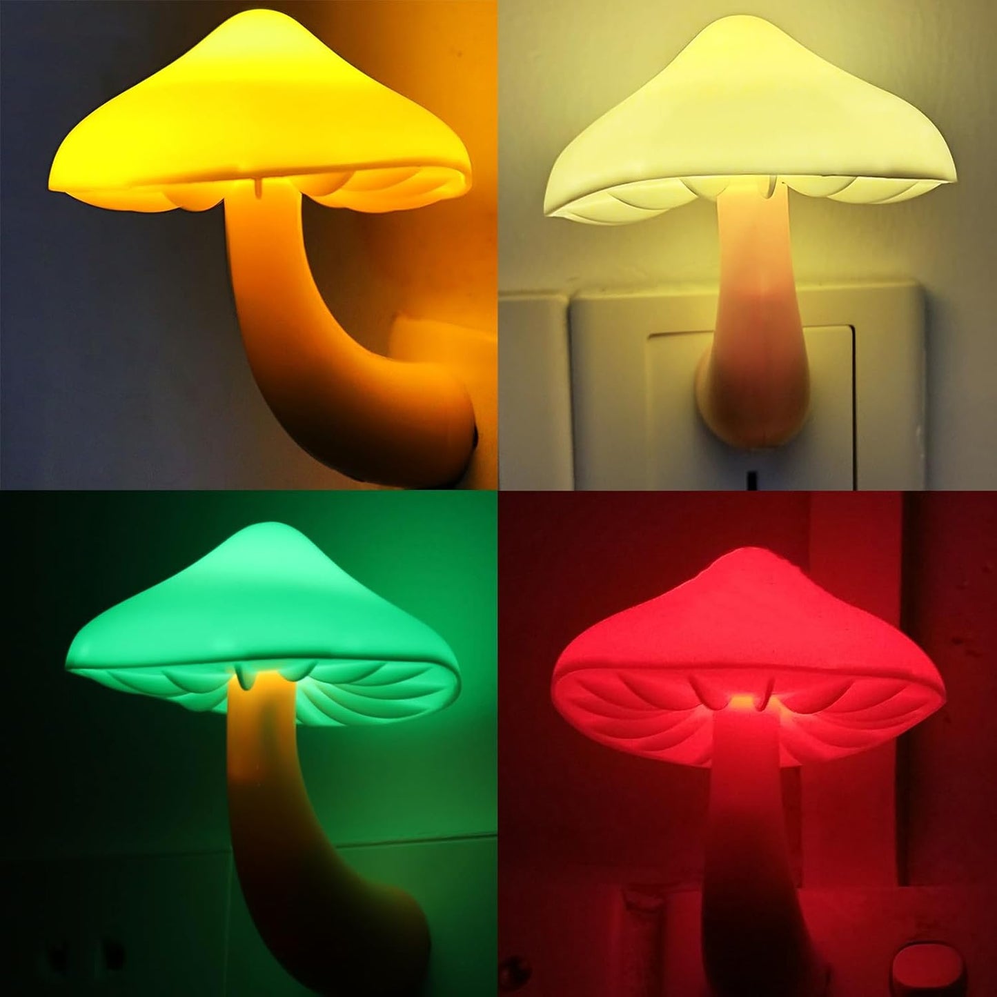 TEEB09XHKHSP3