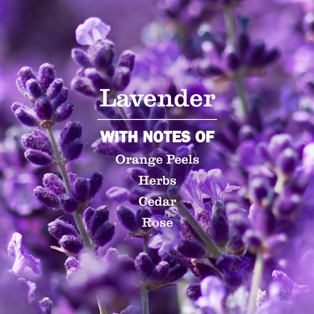 MRS._MEYER'S_CLEAN_DAY_Hand_Soap,_Lavender_Scent,_12.5_Fl_Oz_Bottle_-_3_Pack