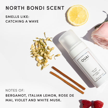 OUAI_Air_Dry_Foam_-_Hair_Mousse_for_Curly_Hair_&_Beach_Waves_-_Conditioning_&_Detangling_With_Kale_and_Carrot_Extract_-_Paraben,_Phthalate_and_Sulfate_Free_(4_Oz)