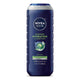 16.9 Fl Oz (Pack of 1)