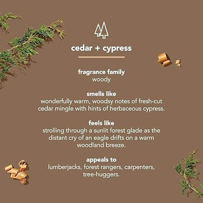 Method_Men_Body_Wash,_Cedar_+_Cypress,_Paraben_and_Phthalate_Free,_18_fl_oz_(Pack_of_1)