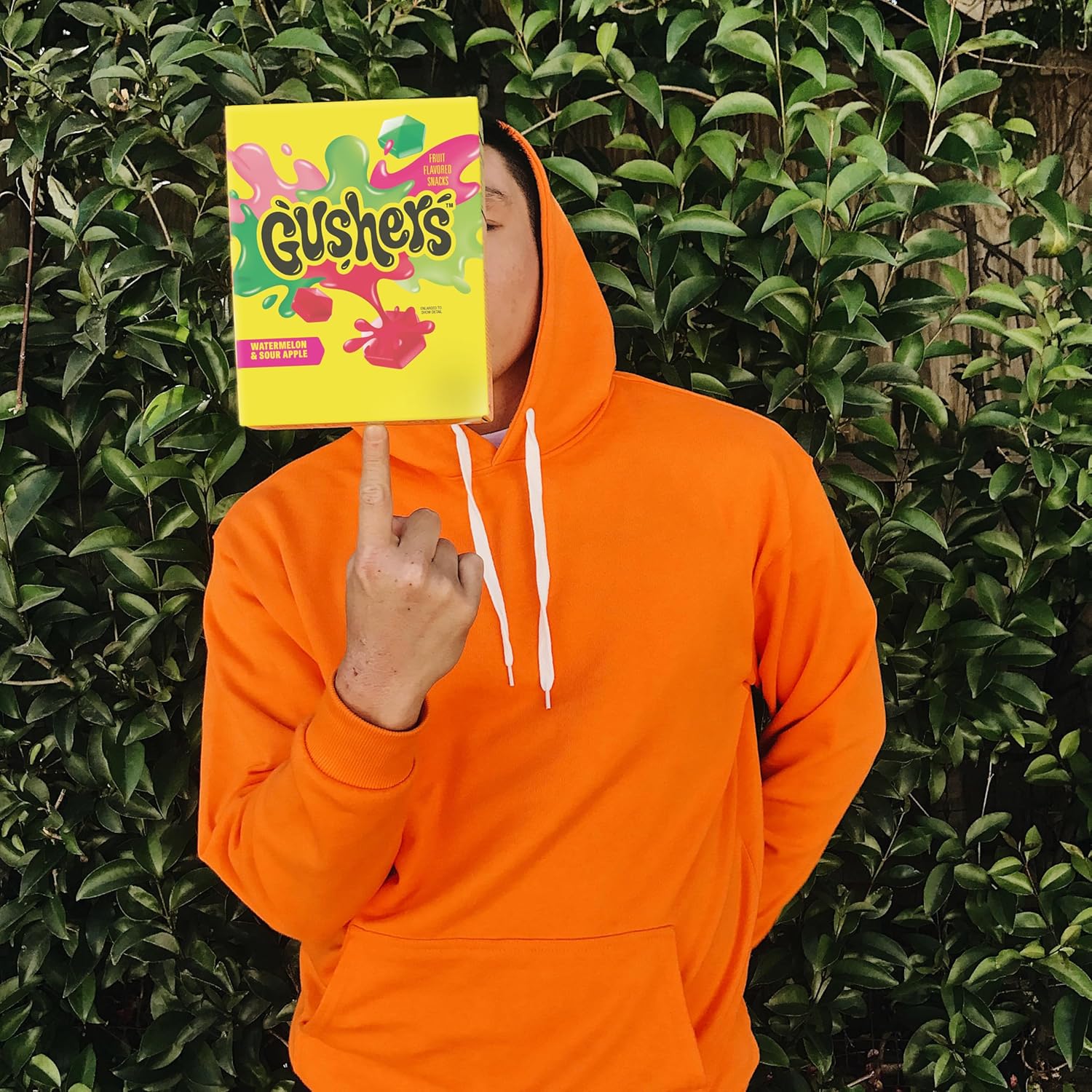 Gushers_Fruit_Flavored_Snacks,_Watermelon_and_Sour_Apple_Flavor,_Family_Pack,_20_Ct,_16_oz