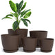 pack of 5 - Brown