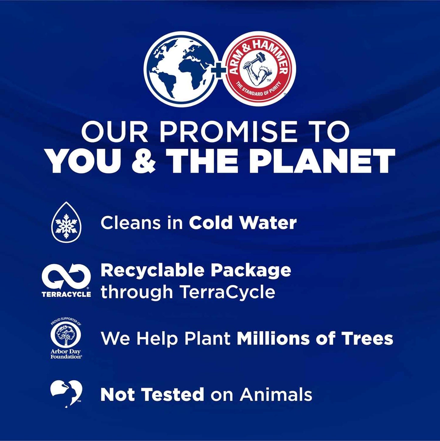 ARM & HAMMER Deep Clean Odor Formula Laundry Detergent Power Paks, Radiant Burst Scent