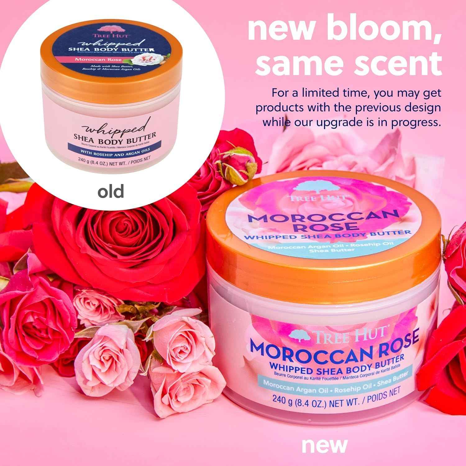 Tree Hut Moroccan Rose Whipped Shea Body Butter, Hydrating & Nourishing Body Lotion with Natural Oils, Moisturizer for Soft & Smooth Skin, 8.4 Oz