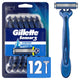 12 Count (Pack of 1)