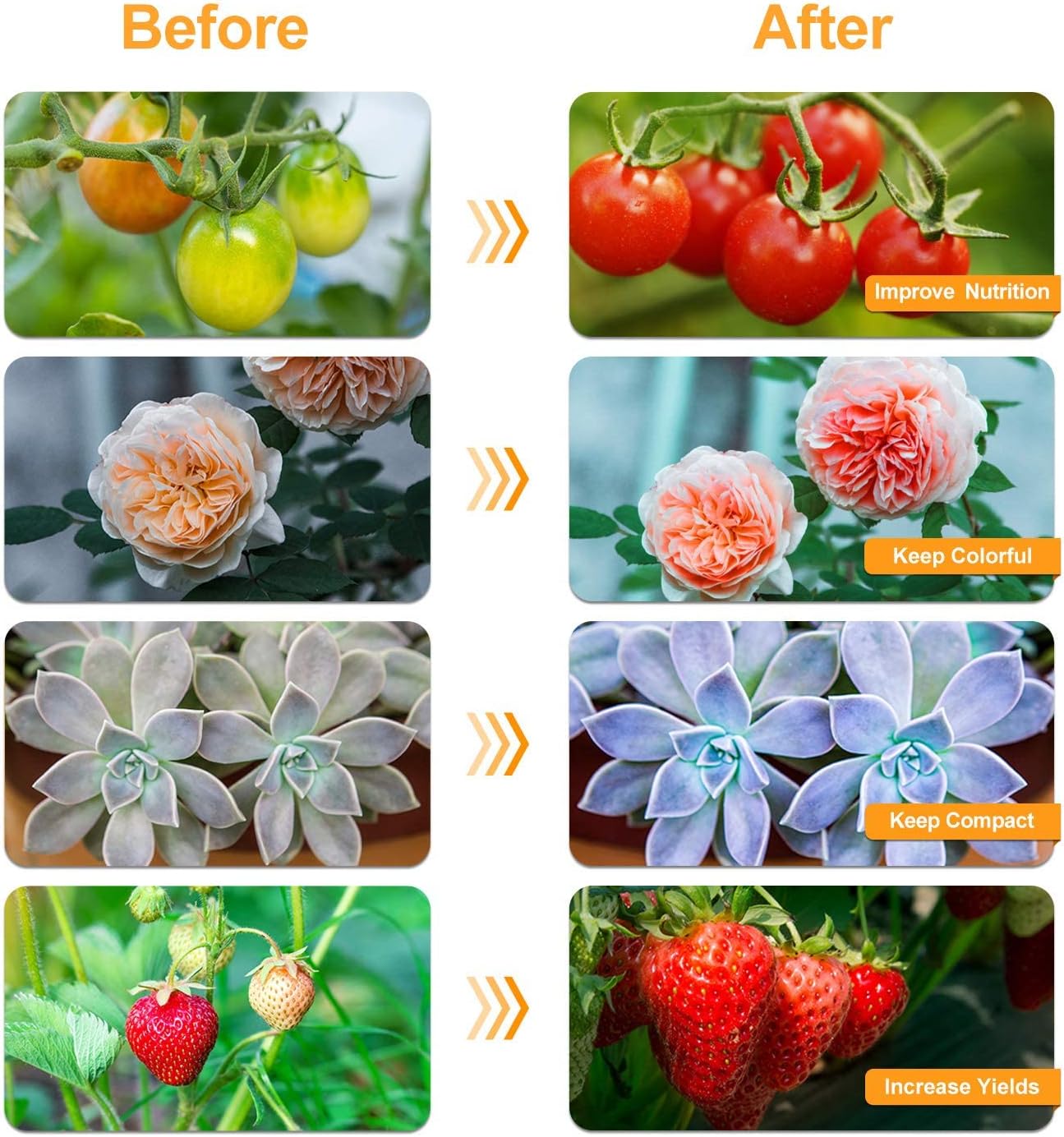 bseah_Grow_Light_Plant_Lights_for_Indoor_Plants,_Full_Spectrum_Plant_Grow_Lamp,_10_Dimmable_Levels,_Auto_ON_&_Off_with_3/9/12H_Timer