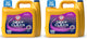 Radiant Burst - 150 Fl Oz (Pack of 2)