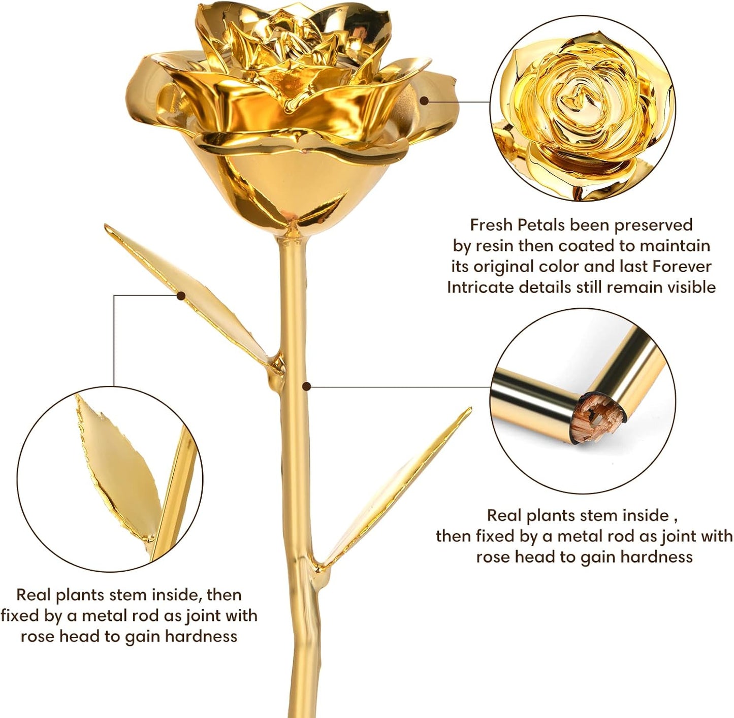 Gold_Dipped_Rose_Real_24K_Gold_Rose,_Genuine_One_of_a_Kind_Rose_Hand_Dipped_in_24K_Golden_Roses_Romantic_Gifts_for_Women_in_Her_Birthday_Anniversary_Valentines_Day_Mothers_Day