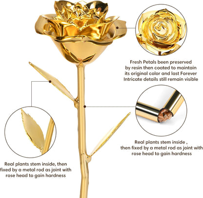 Gold_Dipped_Rose_Real_24K_Gold_Rose,_Genuine_One_of_a_Kind_Rose_Hand_Dipped_in_24K_Golden_Roses_Romantic_Gifts_for_Women_in_Her_Birthday_Anniversary_Valentines_Day_Mothers_Day