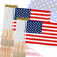 American - 12