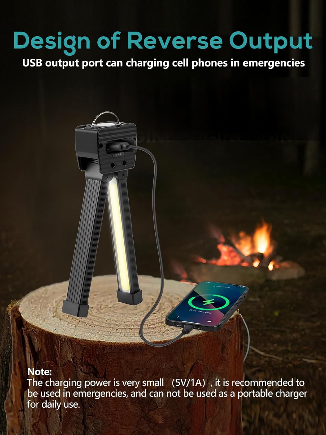 Gym_Lamp,_Portable_Gym_Lighting_for_Posing,_Magnetic_Work_Light_Rechargeable,_Gift_for_Men/Women,_180°_Rotate_Foldable_with_Hang_Hook_Camping_Lamp,_USB_Power_Bank_LED_Handheld_Flashlight-Black