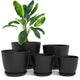 pack of 5 - Black