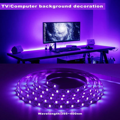 roperry_40ft_LED_Black_Light_Strip_Kit,_720_Units_Lamp_Beads,_Non-Waterproof_Blacklights_for_Glow_Party,_Indoor_Birthday,_Body_Paint,Halloween_(Indoor)