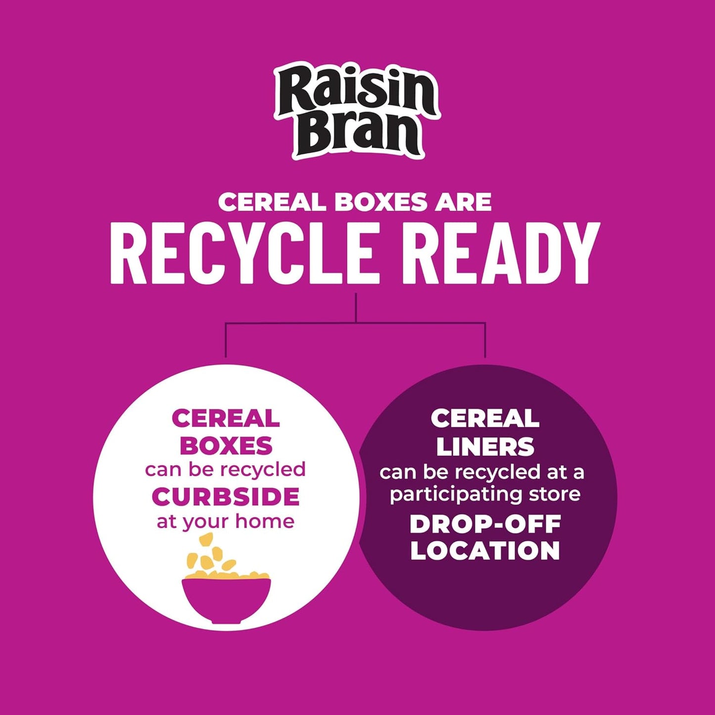 Kellogg’s_Raisin_Bran_Breakfast_Cereal,_High_Fiber,_28g_Whole_Grain,_Large_Size,_20.9_oz