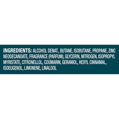 Degree_Men_Whole_Body_Deodorant_Cool_Rush_Scent_Aluminum_Free_72H_Odor_Protection_2.9_oz