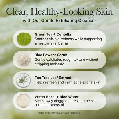 Arencia_Korean_Rice_Mochi_Face_Cleanser_-_Face_Wash,_Gentle_Scrub_All_in_One_for_Deep_Cleansing,_Moisturizing,_Pore_Minimizing,_Acne-Prone_Skin,_Removing_Blackhead_with_Rice_Water_&_Green_Tea