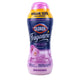 Spring - 70 Ounce (Pack of 1)