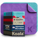 12 Pack - Purple / Blue