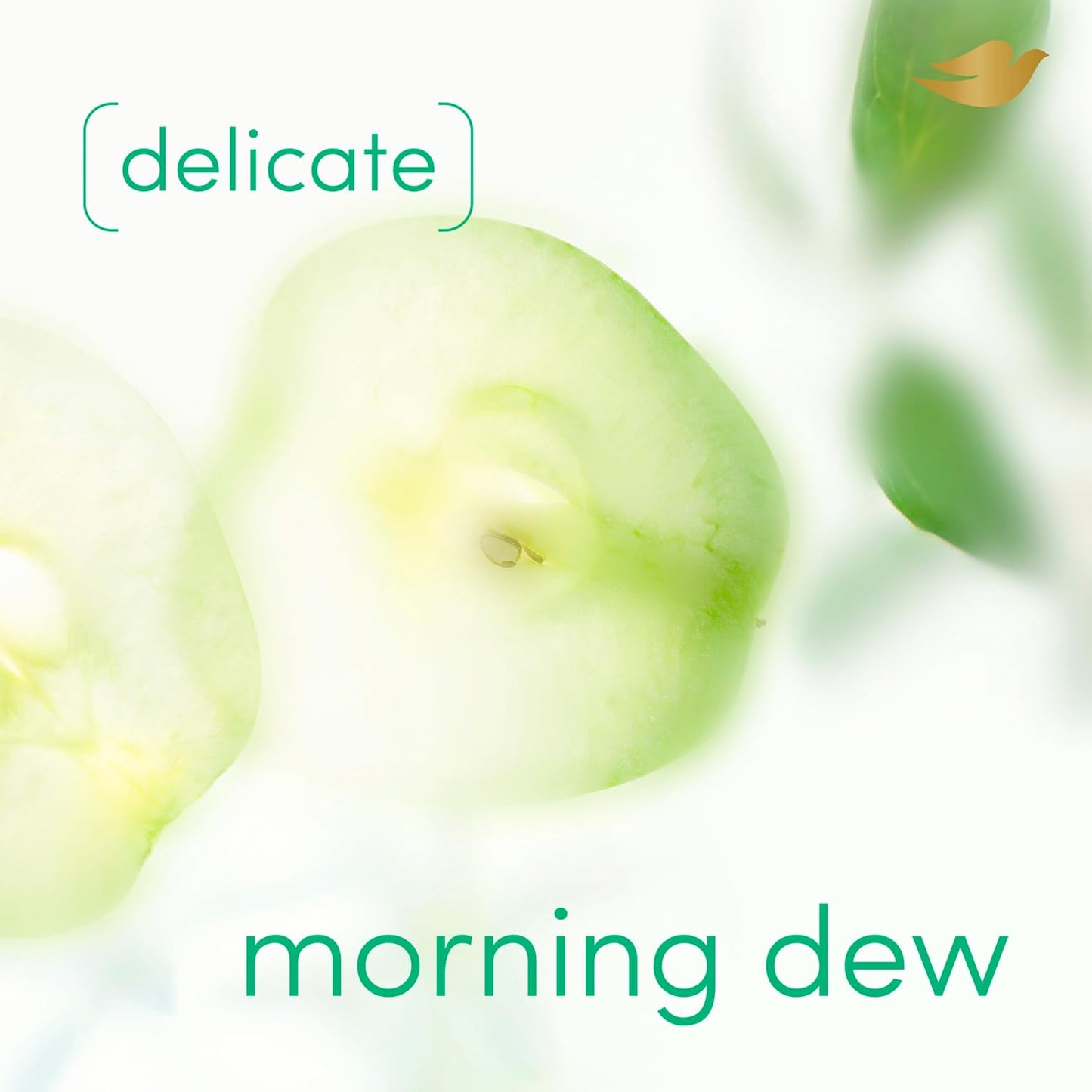 Dove_Whole_Body_Deo_Alcohol_Free_Deodorant_Spray_for_Women_Morning_Dew_4_oz