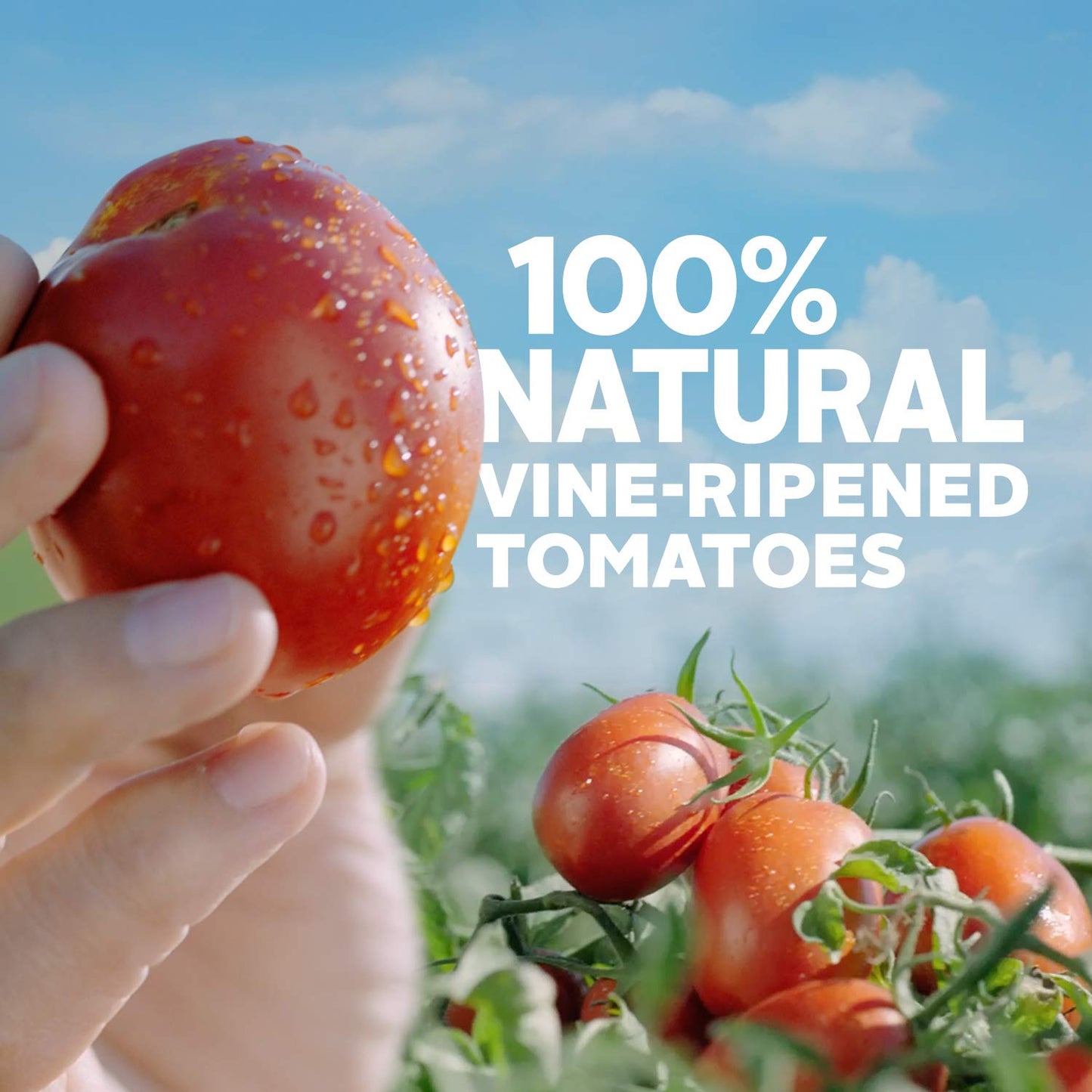 Hunt's_Crushed_Tomatoes,_28_Oz