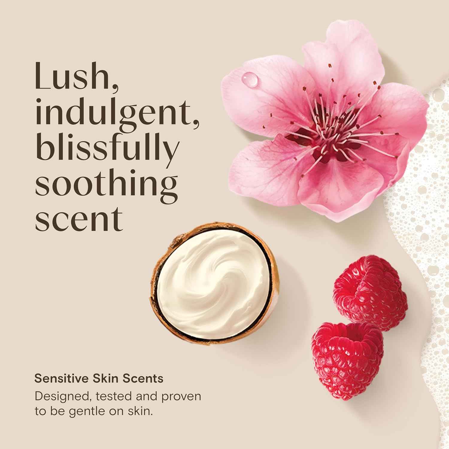 Aveeno Daily Moisturizing Body Wash with A Shea Butter Berry Scent & Soothing Prebiotic Oat, Provides Long-Lasting Hydration for Sensitive Skin, Hypoallergenic, Paraben-Free, 18 fl. oz