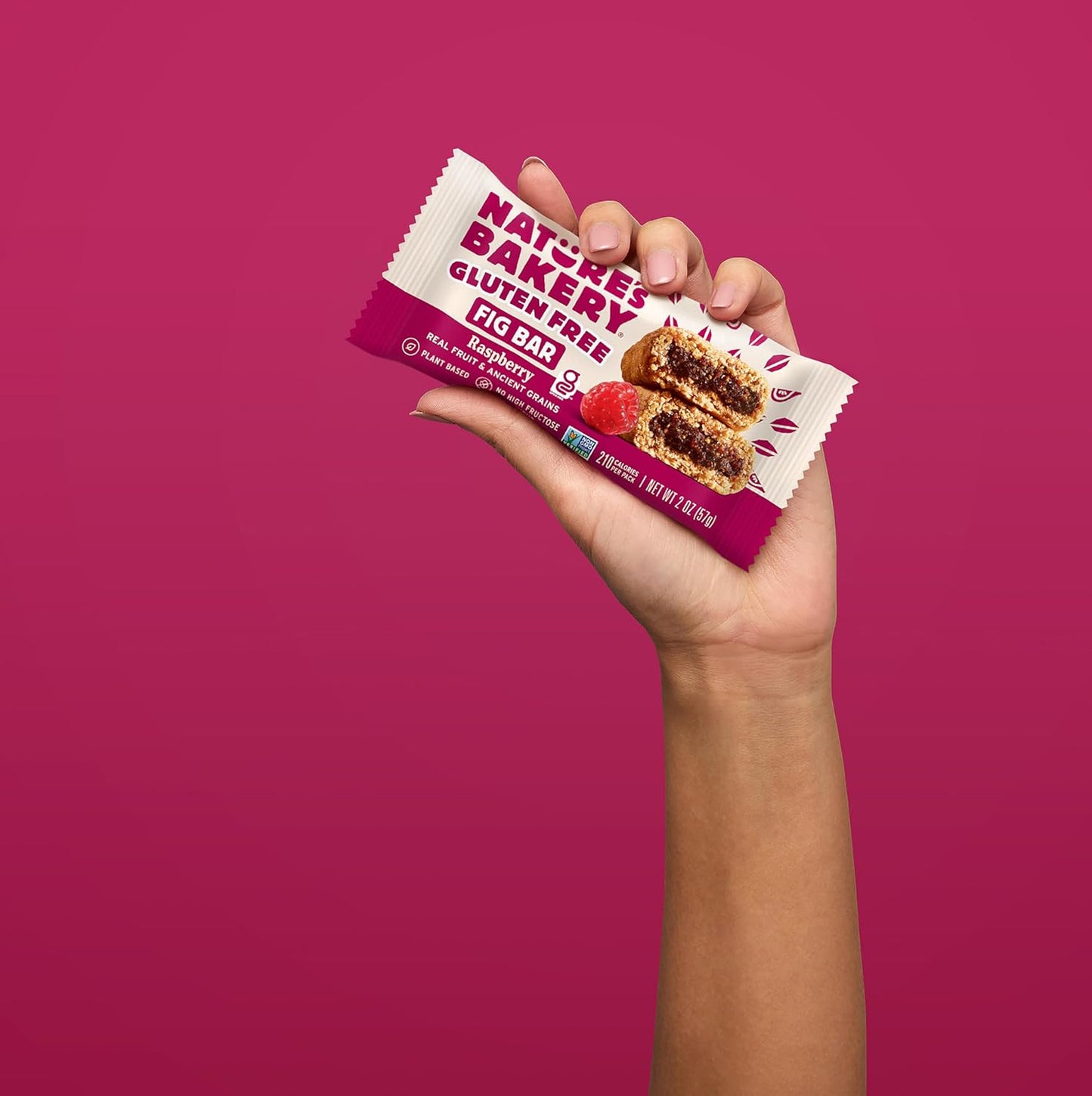 Nature's_Bakery_Raspberry_Fig_Bar,_6_Count,_2_Ounce