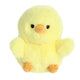 CHICKADEE CHICK - Medium