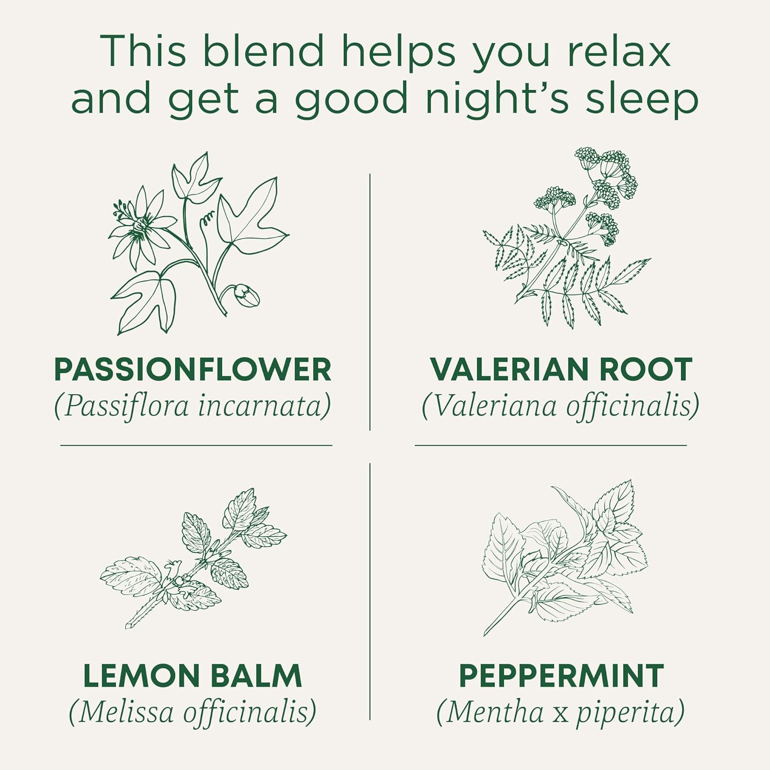 Traditional_Medicinals_Organic_Nighty_Night_Extra_Tea_With_Valerian_Root_for_Relaxation,_16_Tea_Bags_(Pack_of_1)