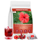 Hibiscus - 100 Count (Pack of 1)