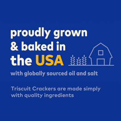 Triscuit_Hint_of_Sea_Salt_Whole_Grain_Wheat_Crackers,_Vegan_Crackers,_Vegan_Snacks,_Lunch_Snacks,_8.5_oz