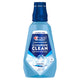 Clean Mint - 33.8 Fl Oz (Pack of 1)