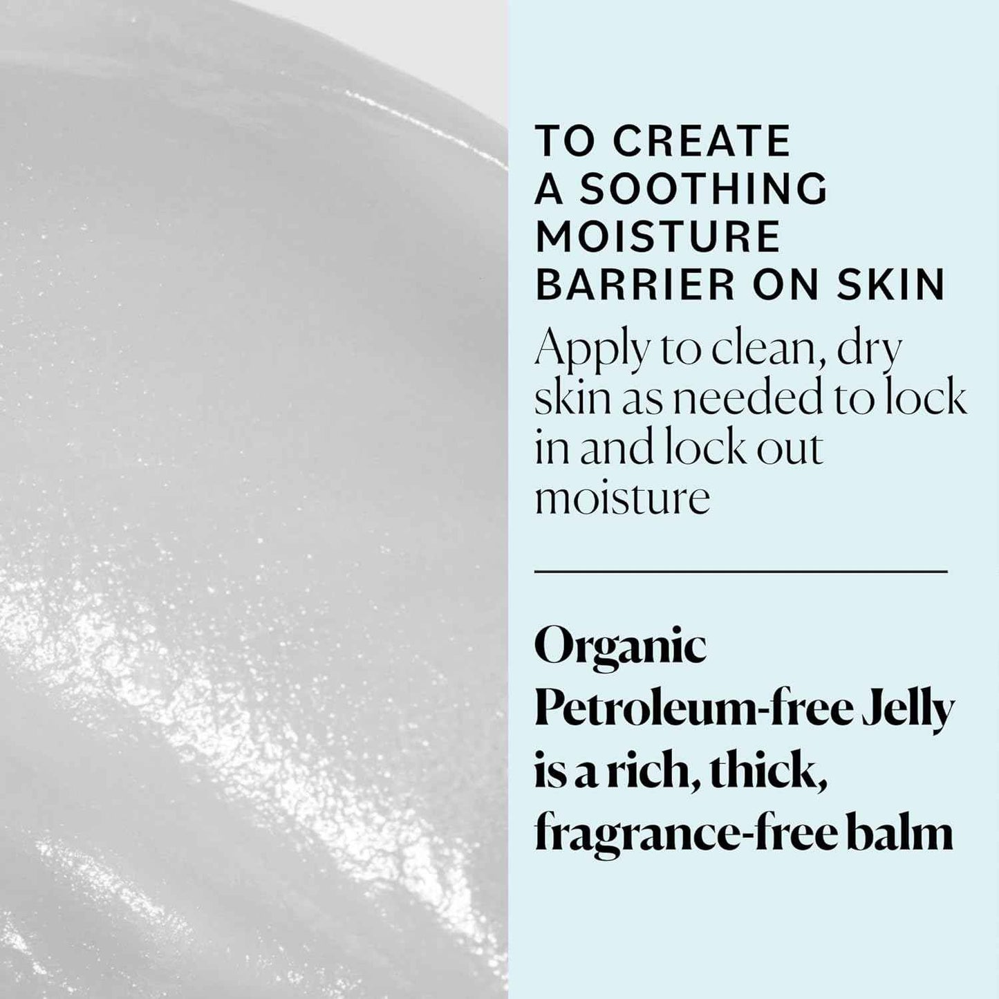 Sky Organics Organic Petroleum-free Jelly, Multi-Purpose Skin Care Balm with Organic Shea Butter, Coconut Oil, Olive Oil & Vitamin E, Moisturizing Lip Balm & Moisturizer for Dry Skin, 2.5 Oz