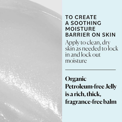 Sky Organics Organic Petroleum-free Jelly, Multi-Purpose Skin Care Balm with Organic Shea Butter, Coconut Oil, Olive Oil & Vitamin E, Moisturizing Lip Balm & Moisturizer for Dry Skin, 2.5 Oz