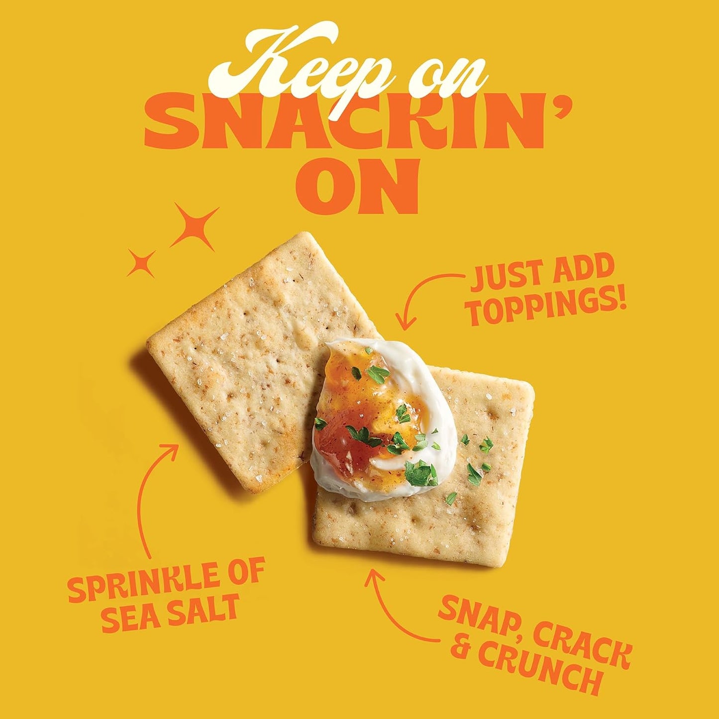 Back_to_Nature_-_Crispy_Wheat_Crackers_-_Real_Ingredients_like_Wheat_Flour_&_Sea_Salt_-_Non-GMO_-_6.5_Ounce