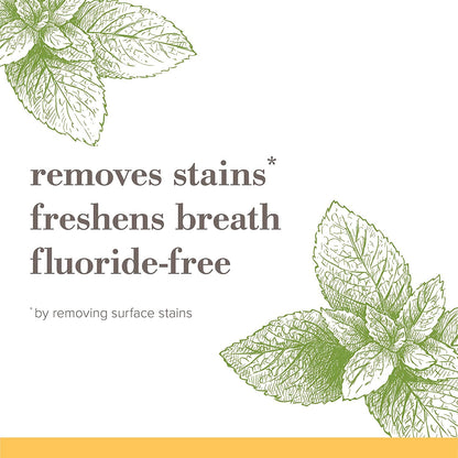 Burt's_Bees_Toothpaste,_Natural_Flavor,_Fluoride-Free,_Purely_White,_Zen_Peppermint,_4.7_oz,_Pack_of_3