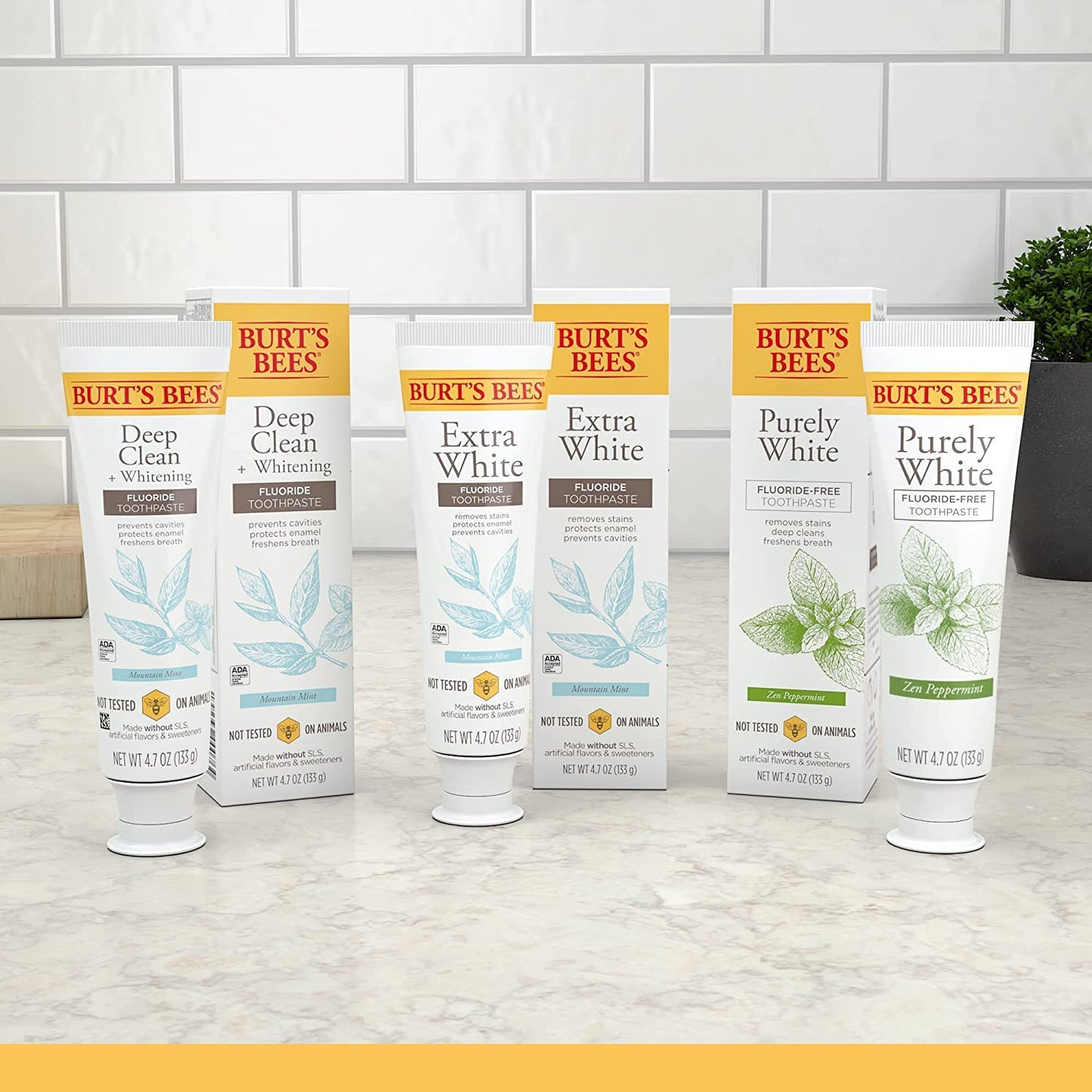 Burt's_Bees_Toothpaste,_Natural_Flavor,_Fluoride-Free,_Purely_White,_Zen_Peppermint,_4.7_oz,_Pack_of_3