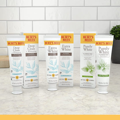 Burt's_Bees_Toothpaste,_Natural_Flavor,_Fluoride-Free,_Purely_White,_Zen_Peppermint,_4.7_oz,_Pack_of_3