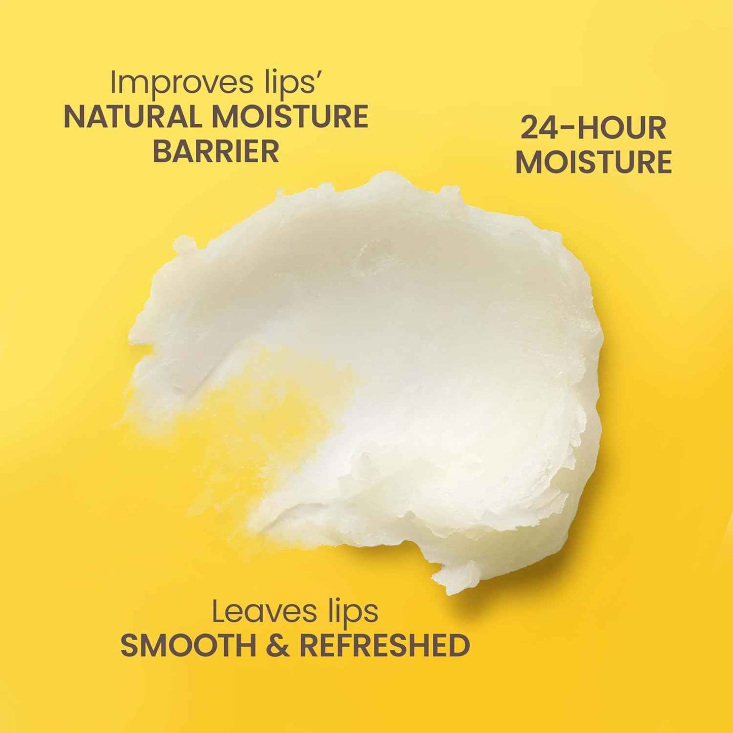 Burt's Bees 24 Hour Moisture Moisturizing Lip Balm, 100% Natural Origin, Mother's Day Gift