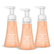 10 Fl Oz (Pack of 3)