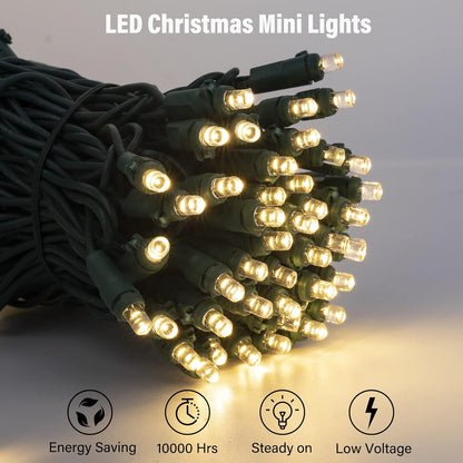 Brightown_LED_Christmas_String_Lights,_14_Feet_50LEDs_Clear_Mini_Lights_Plug_in,_Connectable_Christmas_Tree_Lights_for_Indoor_Outdoor_Bedroom_Wreath_Garland_Holiday_Party_Wedding_Christmas_Decoration