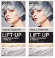 Ice - 1 Count (Pack of 2)