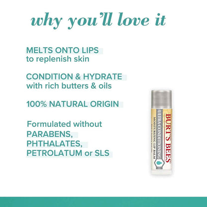 Burt's Bees Lip Balm, Moisturizing Lip Care, 100% Natural Origin